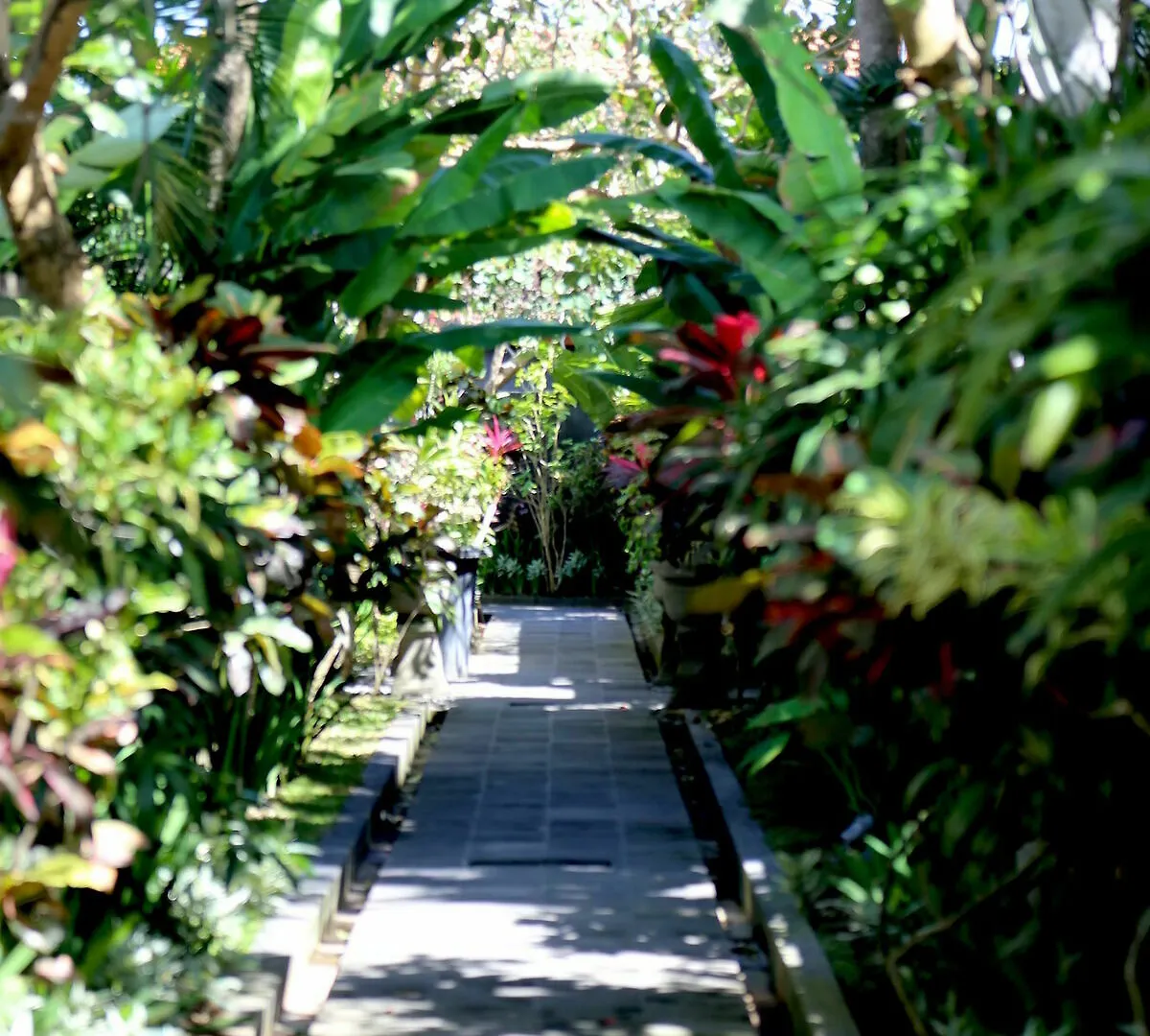Amore Villas Dalung   Dalung (Bali)